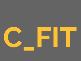 C_FIT Culture Fit Assessment